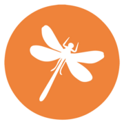 Orthemis  Personalberatung